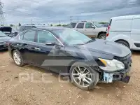 2011 Nissan MAXIMA photo