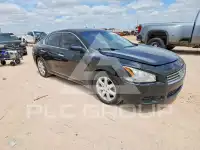2011 Nissan MAXIMA photo