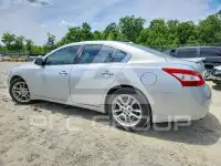 2011 Nissan MAXIMA фото
