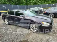 2011 Nissan MAXIMA photo