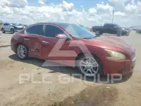 2011 Nissan MAXIMA photo