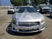 2011 Nissan MAXIMA photo