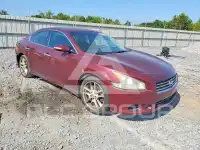 2011 Nissan MAXIMA photo