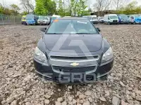2011 Chevrolet Malibu фото