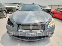 2011 Infinity M-Series фото