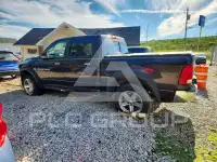 2011 Dodge RAM фото