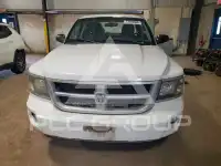 2011 Dodge DAKOTA photo