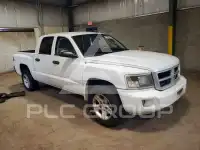2011 Dodge DAKOTA photo