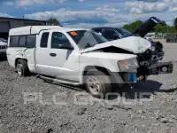 2011 Dodge DAKOTA фото