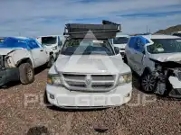 2011 Dodge DAKOTA фото