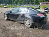 2011 Acura TL фото