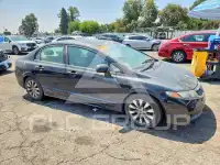 2011 Honda CIVIC фото
