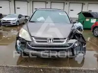 2011 Honda CR-V photo
