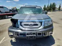 2011 Honda PILOT фото