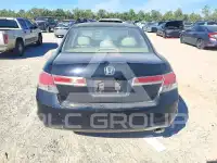 2011 Honda Accord фото