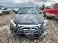 2011 Honda Accord photo