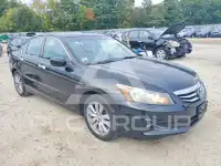 2011 Honda Accord photo