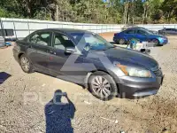 2011 Honda Accord photo