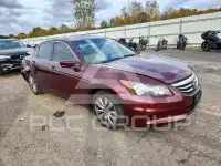 2011 Honda Accord photo