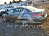 2011 Honda Accord фото