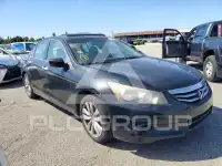 2011 Honda Accord фото