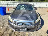 2011 Honda Accord photo