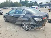 2011 Honda Accord photo