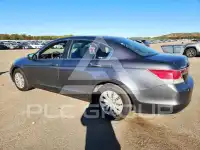 2011 Honda Accord photo