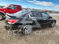 2011 Honda Accord photo
