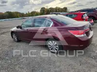 2011 Honda Accord photo