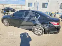 2011 Honda Accord photo