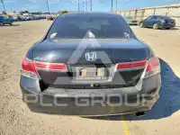 2011 Honda Accord photo