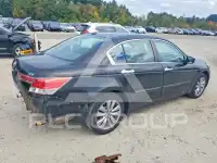 2011 Honda Accord photo