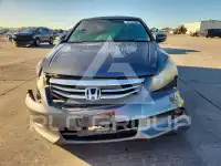 2011 Honda Accord фото