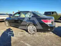 2011 Honda Accord фото