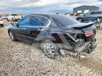 2011 Honda Accord photo