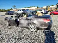 2011 Honda Accord фото