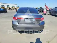 2011 Honda Accord фото