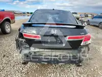 2011 Honda Accord photo