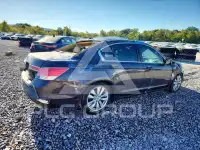 2011 Honda Accord фото