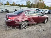 2011 Honda Accord photo