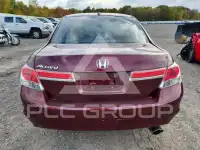 2011 Honda Accord photo
