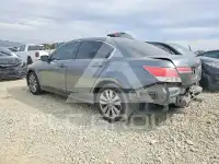 2011 Honda Accord фото