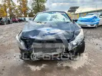 2011 Honda Accord photo
