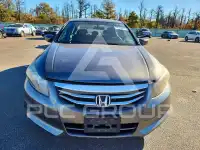 2011 Honda Accord photo