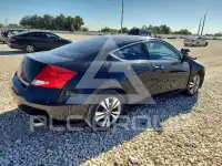 2011 Honda Accord photo