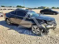 2011 Honda Accord photo