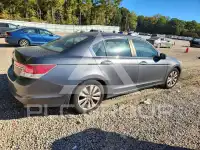 2011 Honda Accord photo