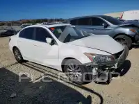 2011 Honda Accord photo