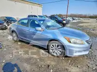 2011 Honda Accord photo